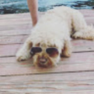 Meet your Posher, Grace